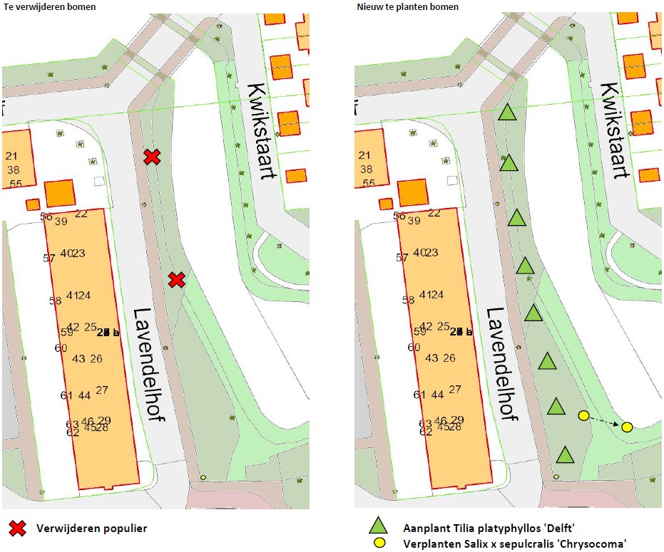 Plattegrond van de locaties voor de te verwijderen bomen en nieuw aan te planten bomen